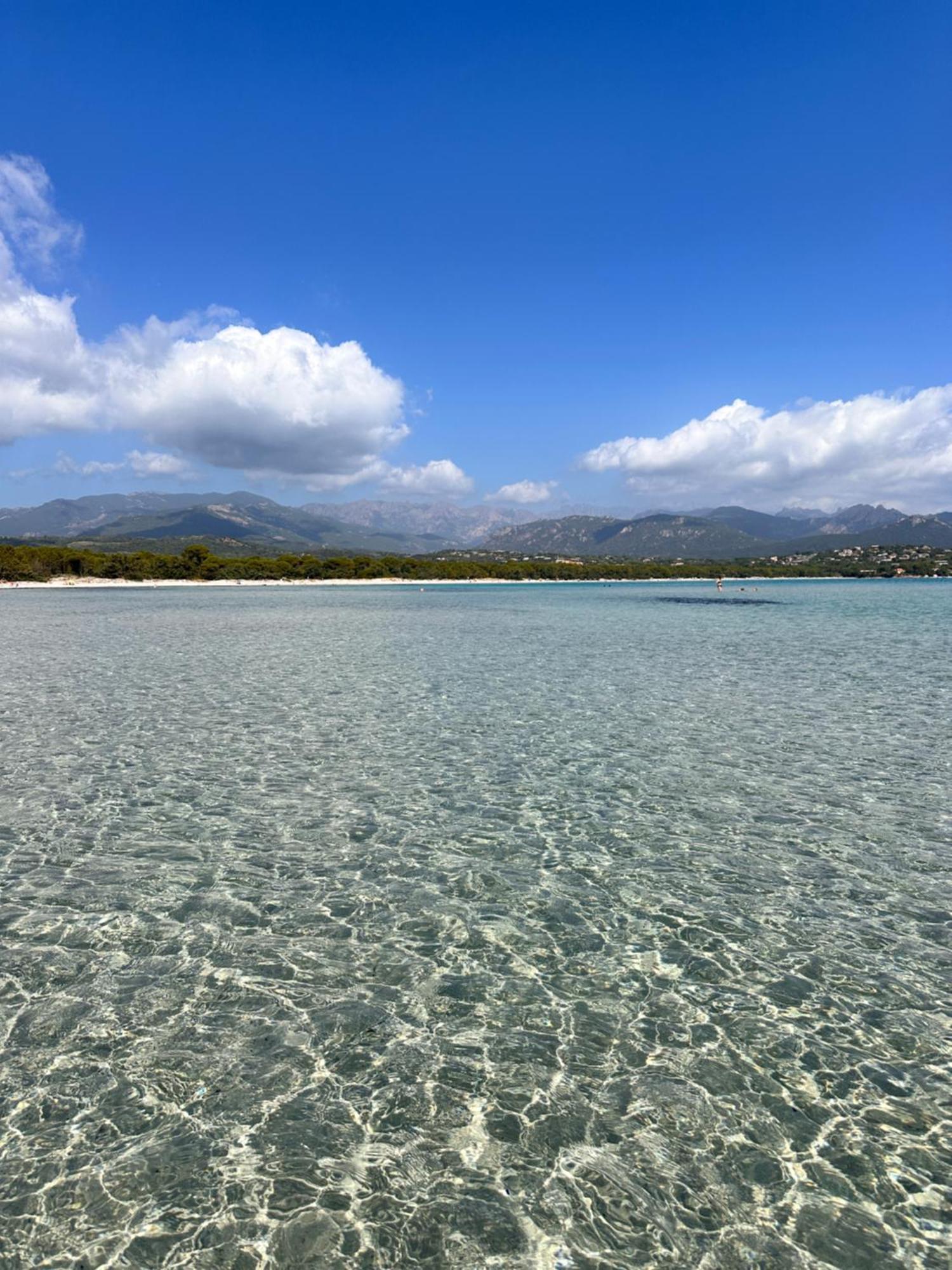 Charmant 2 Piece Tout Equipe Climatise Sainte-Lucie de Porto-Vecchio Εξωτερικό φωτογραφία